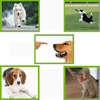 Ultrasonic Dog Whistle with Adjustable Pitch for Safe Pet Training, 2Pcs