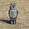360-Degree Rotating Owl Decoy with Scary Sounds and Shadows