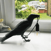 Cute Black Bird Crow Table Lamp